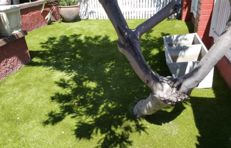 Perth Artificial Grass Installation