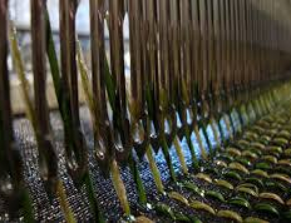 Why Artificial Grass is Better For The Environment