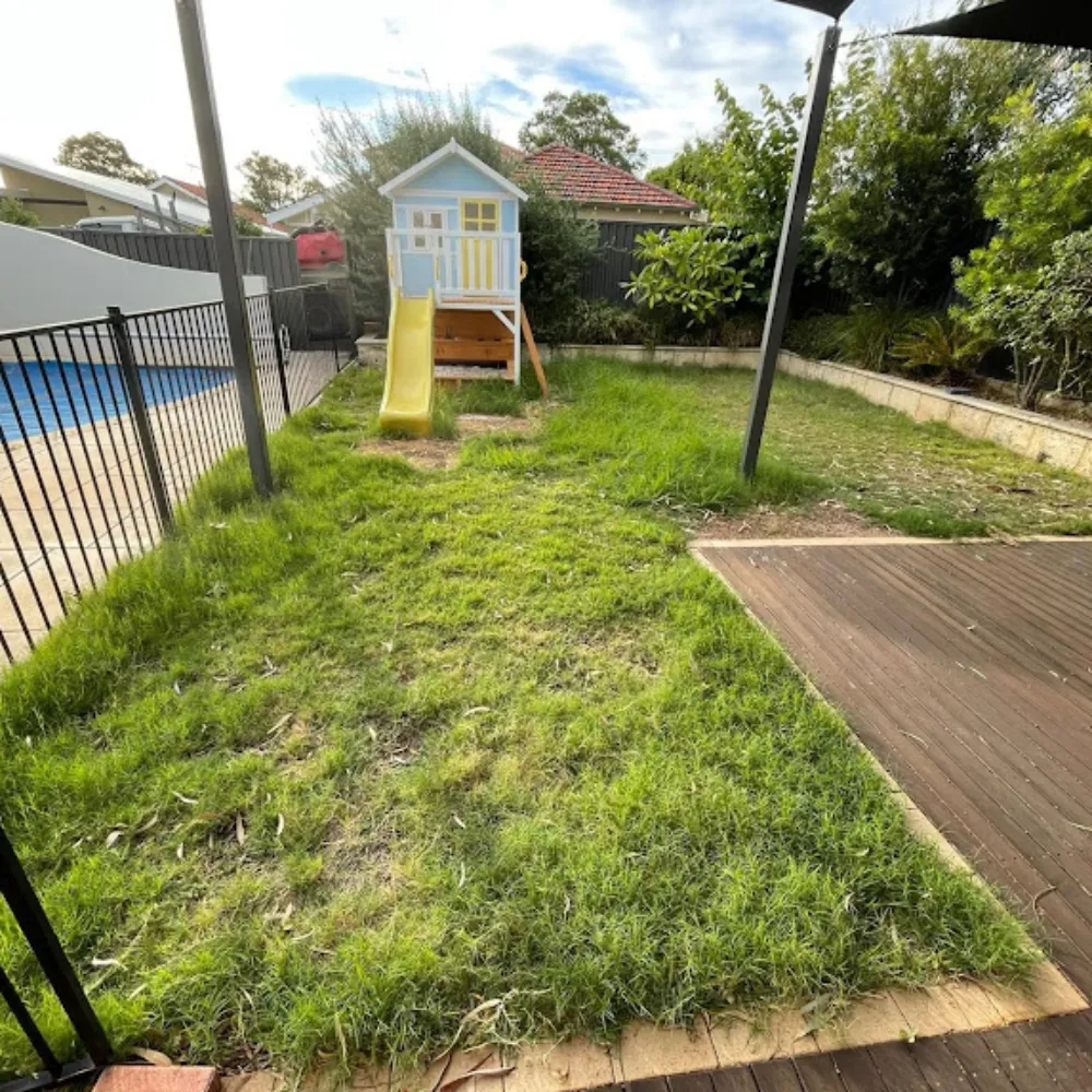 Before: Dry Brown Lawn Perth