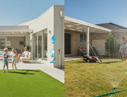 10-Year Lawn Cost Comparison for Perth Homeowners